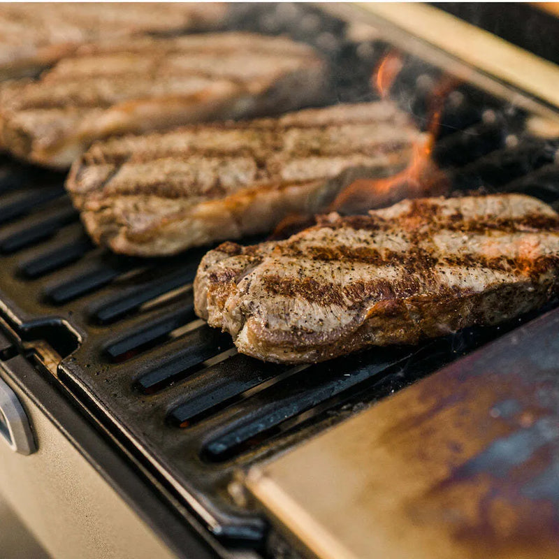 Portable Charcoal Grill and Smoker - Pizzaofnar.is