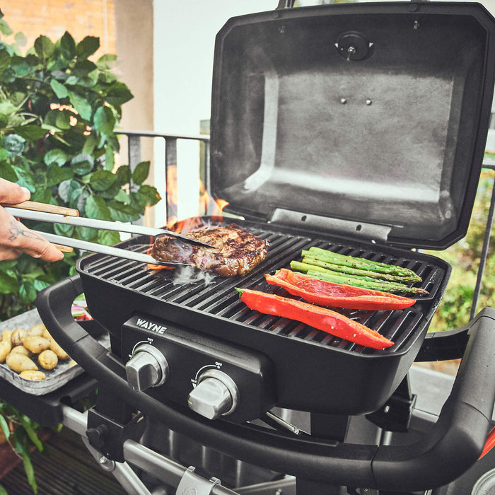 WAYNE Jr. Ferðagrill 2-burner